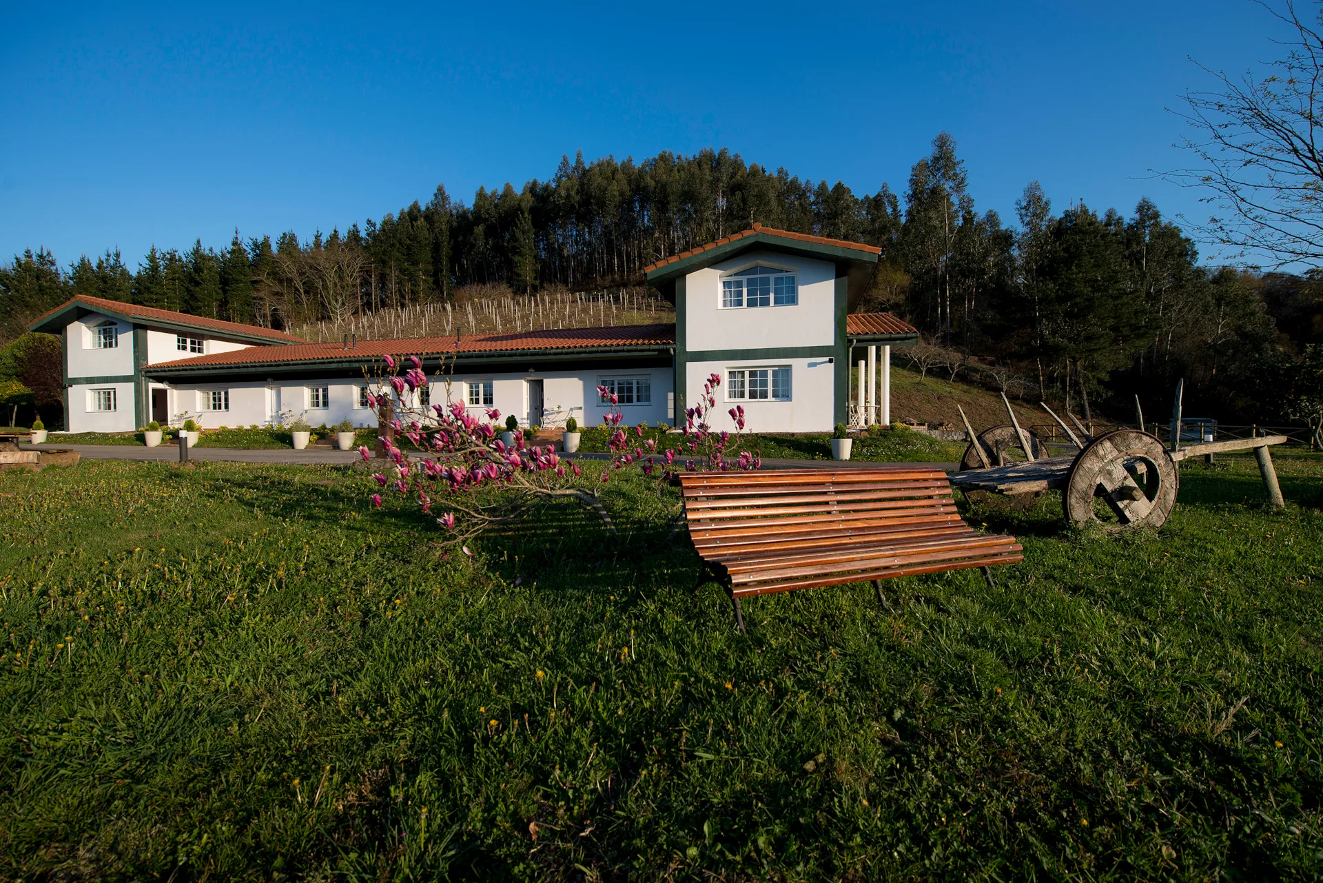 Los apartamentos desde el jardín · Bizkar Bare