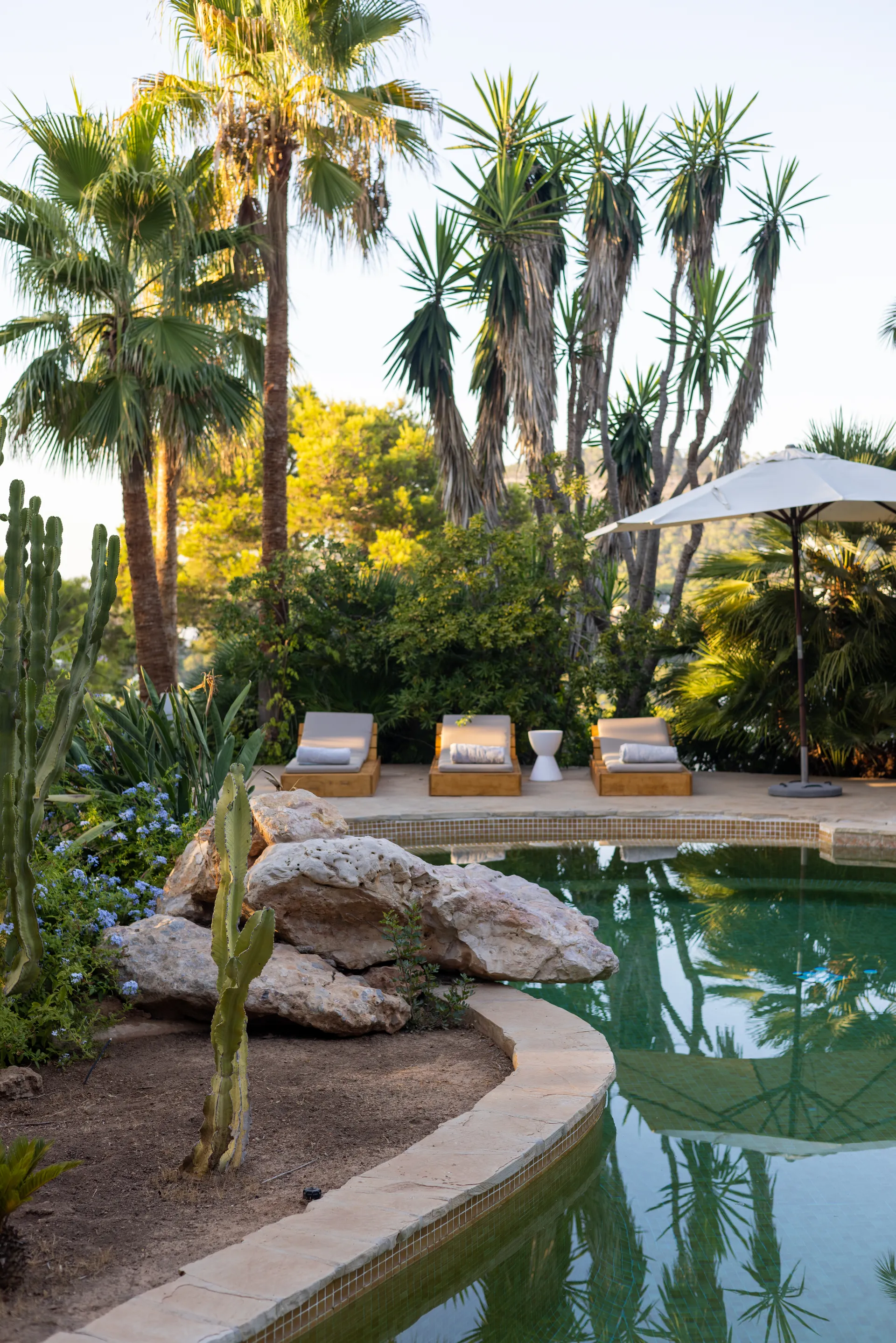 La piscina entre palmeras de Villa Oasis · Villa Oasis